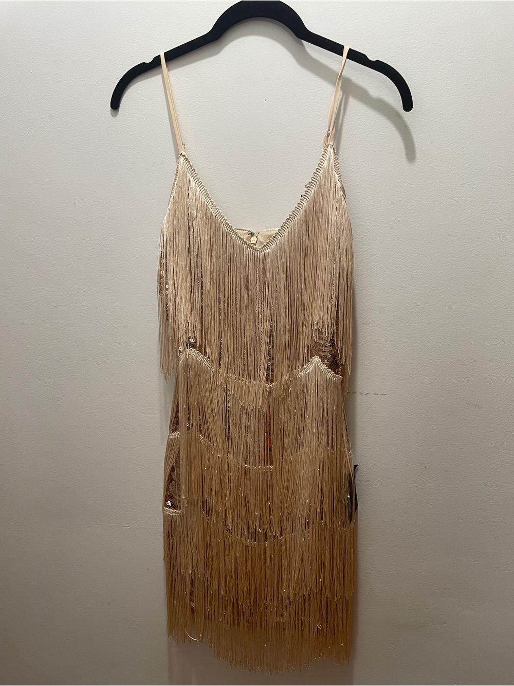 NWT Lulu's Champagne Fringe Sequin Mini Dress